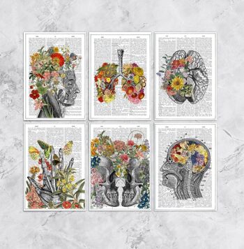 Anatomie des fleurs multicolores Cartes postales 1