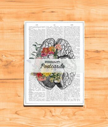 Anatomie des fleurs multicolores Cartes postales 2