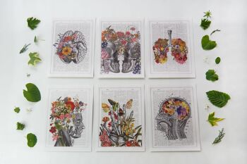 Anatomie des fleurs multicolores Cartes postales 3