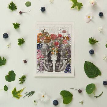 Anatomie des fleurs multicolores Cartes postales 4