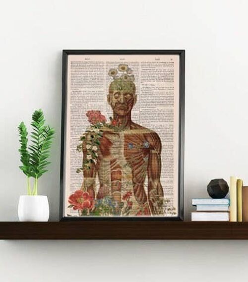 Muscle Anatomy Art - Book Page L 8.1x12 (No Hanger)
