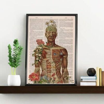 Muscle Anatomy Art - Book Page L 8.1x12 (No Hanger)