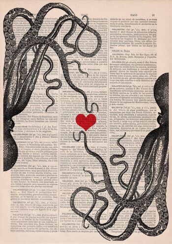 Octopus couple in love red hear - Livre Page L 8.1x12 2