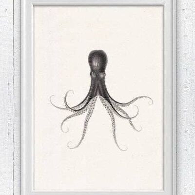 Octopus n.32 sea print - A4 white 8.26x11.6