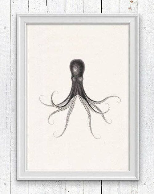 Octopus n.32 sea print - A3 white 11.7x16.5