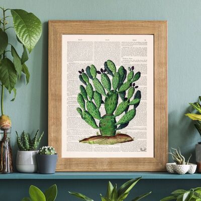 Opuntia Cactus Art Print - Book Page L 8.1x12 (No Hanger)