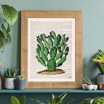 Opuntia Cactus Art Print - A4 Blanc 8.2x11.6 (Sans cintre)