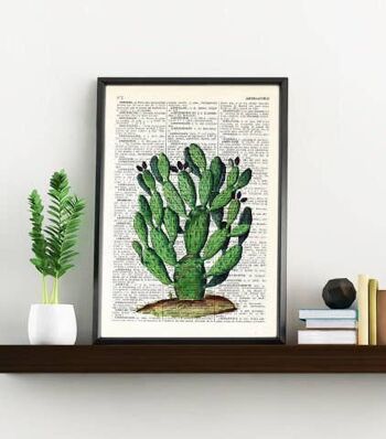 Impression d'Art Cactus Opuntia - A4 Blanc 8.2x11.6 4