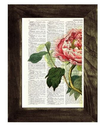 Détail de fleur de pivoine - Page de livre L 8.1x12 (sans cintre) 4