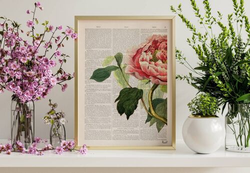 Peony Flower Detail - Book Page M 6.4x9.6 (No Hanger)