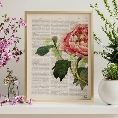 Peony Flower Detail - Book Page M 6.4x9.6 (No Hanger)