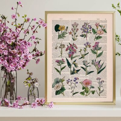 Pink and lilac Wild flowers collection - A4 White 8.2x11.6 (No Hanger)