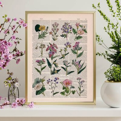 Pink and lilac Wild flowers collection - A4 White 8.2x11.6