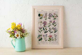Collection Fleurs sauvages rose et lilas - Blanc 8x10 (Sans Cintre) 4