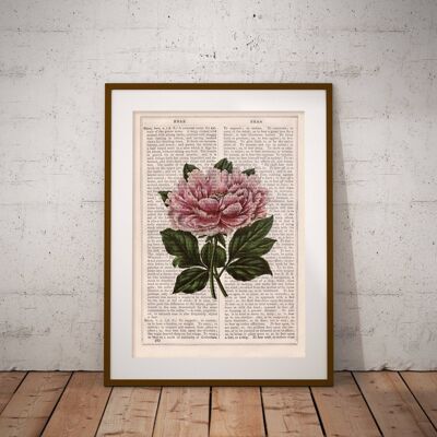 Pink peony Print - Book Page L 8.1x12 (No Hanger)