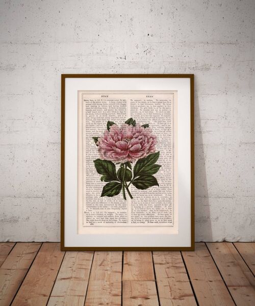 Pink peony Print - Book Page S 5x7 (No Hanger)