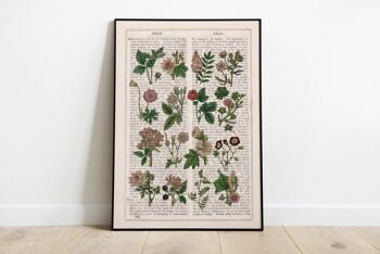 Collection de fleurs sauvages roses - Page de livre 6.6x10.2 3