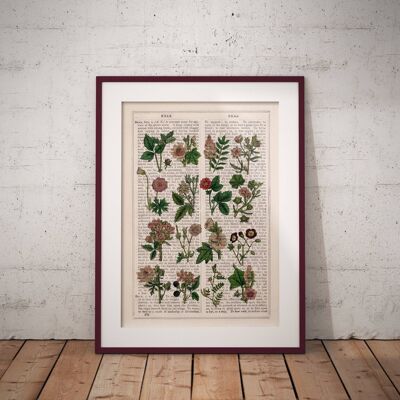 Collection Fleurs Sauvages Roses - A4 Blanc 8.2x11.6