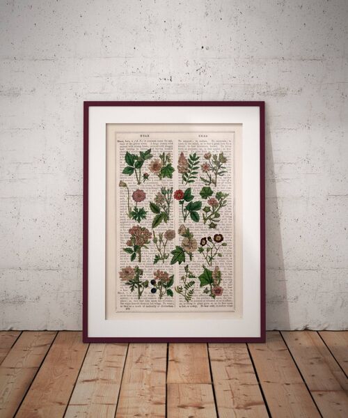 Pink Wild Flowers Collection - White 8x10