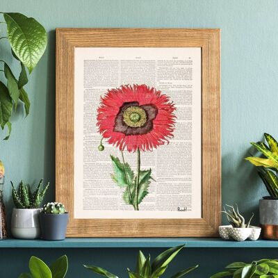 Poppy Flower Botanical Art - Book Page S 5x7 (No Hanger)