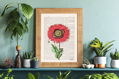 Poppy Flower Botanical Art - A4 White 8.2x11.6 (No Hanger)