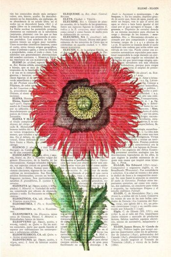 Coquelicot Fleur Botanique Art - A5 Blanc 5.8x8.2 (Pas de Cintre) 4