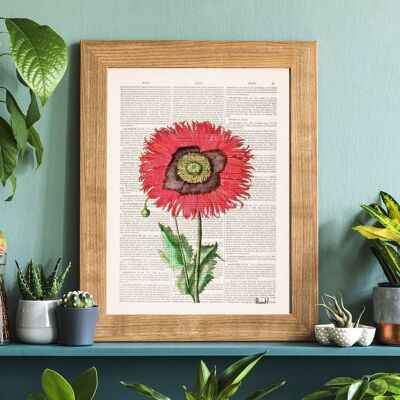 Poppy Flower Botanical Art - A5 White 5.8x8.2