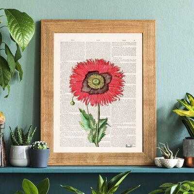 Poppy Flower Botanical Art - White 8x10 (No Hanger)