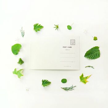 Lot de 6 cartes postales - Fleurs sauvages botaniques 3