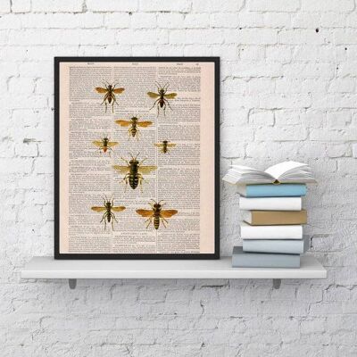 Queen Bees Art Print - Book Page L 8.1x12 (No Hanger)