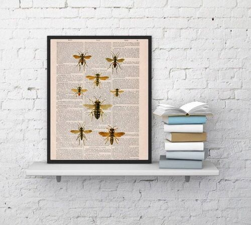 Queen Bees Art Print - A4 White 8.2x11.6 (No Hanger)