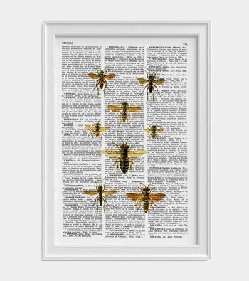 Queen Bees Art Print - A4 Blanc 8.2x11.6 (Pas de Cintre) 3