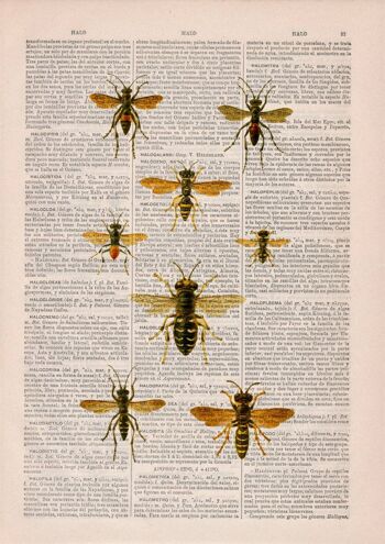 Queen Bees Art Print - A5 Blanc 5.8x8.2 (Pas de Cintre) 2