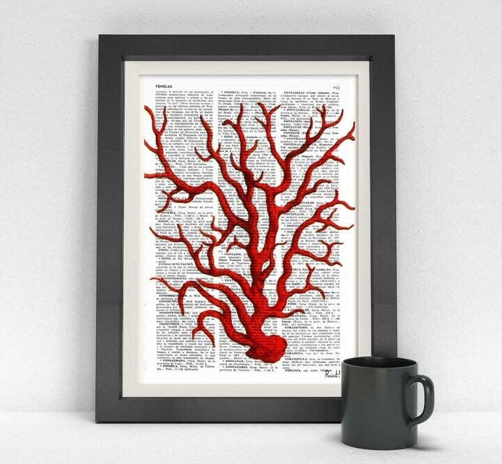 Red Coral Antique illustration print - Book Page S 5x7