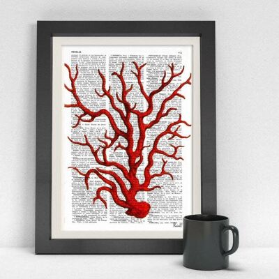 Red Coral Antique illustration print - Book Page M 6.4x9.6