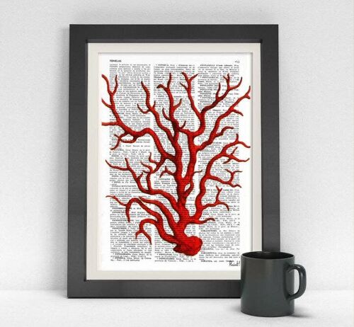 Red Coral Antique illustration print - Music L 8.2x11.6