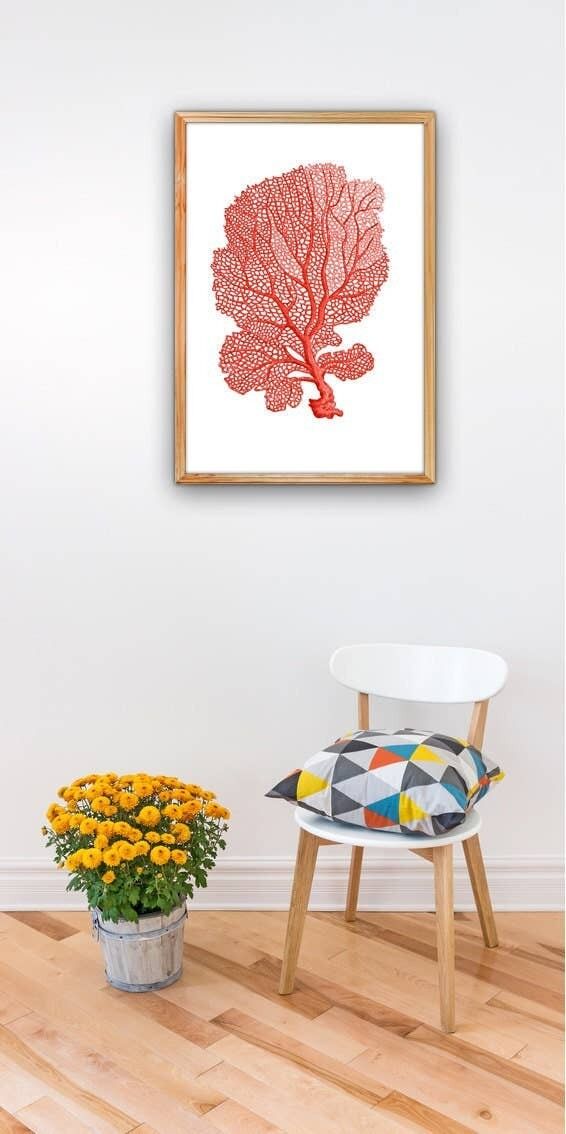 Red Sea Fächerkoralle II Sea Life Print