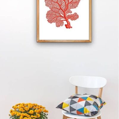 Red Sea fan coral II Sea life print