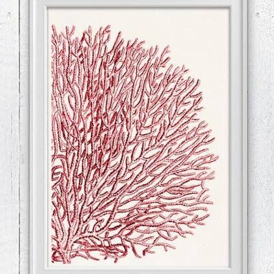 Red Sea fan coral no.11 - Seafan pom-pom in red - A4 white 8.26x11.6