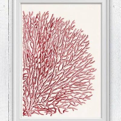 Red Sea fan coral no.11 - Seafan pom-pom in red - A5 white 5.8x8.3