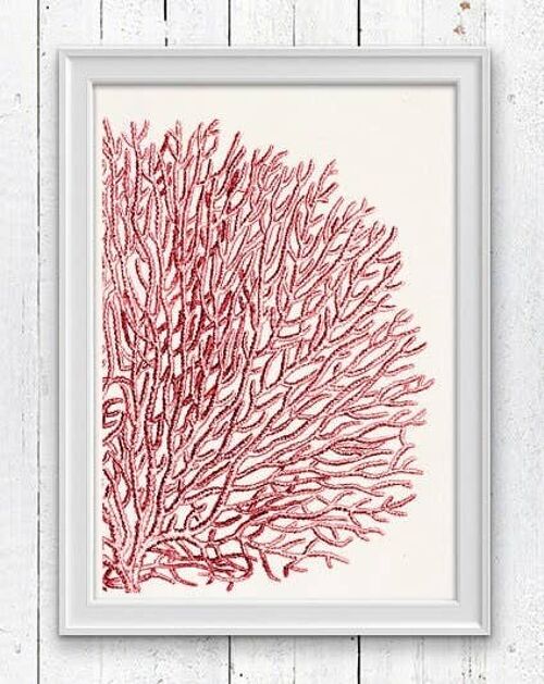 Red Sea fan coral no.11 - Seafan pom-pom in red - A3 white 11.7x16.5
