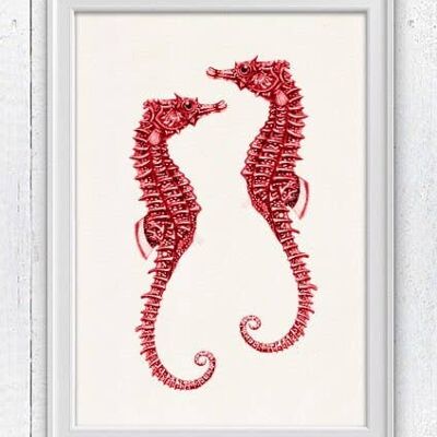 Red sea horses couple - White 8x10