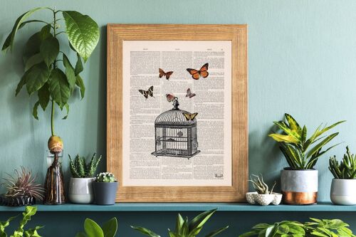 Release the Butterflies and cage - A4 White 8.2x11.6 (No Hanger)