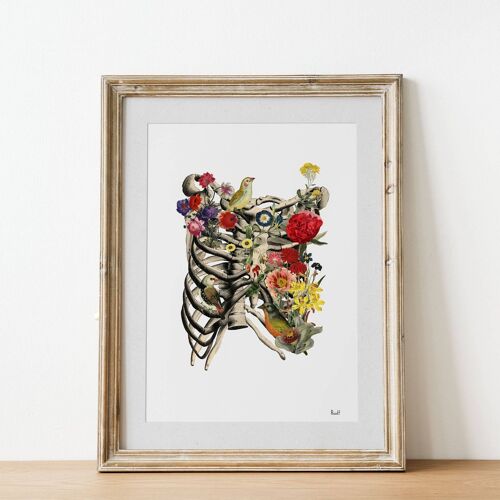 Rib cage full of nature Print - A3 Poster 11.7x16.5 (No Hanger)