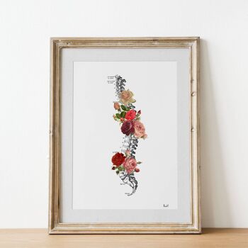 Roses Spine - Affiche A3 11,7 x 16,5 (sans cintre) 3