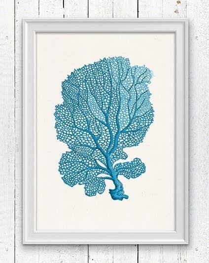 Sea fan coral n.04 - White 8x10