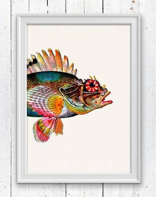 Sea Fish Monkfish sea life print - A3 White 11.7x16.5 (No Hanger)