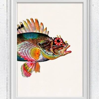 Sea Fish Seeteufel Sea Life Print – A3 weiß 11,7 x 16,5 (ohne Aufhänger)
