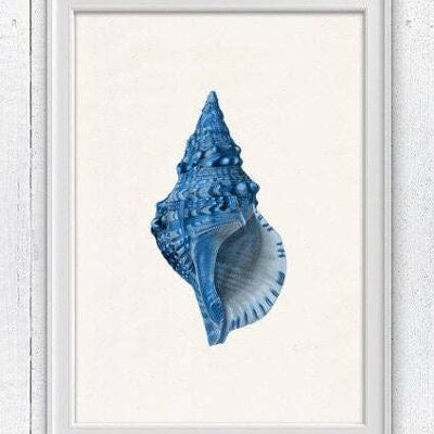 Sea Shell Electric Blue Sea Life Print - A4 weiß 8,26 x 11,6