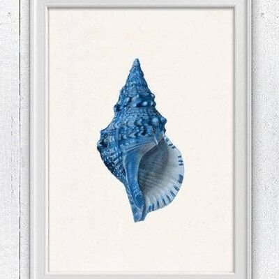 Sea shell electric blue Sea life print - A4 white 8.26x11.6